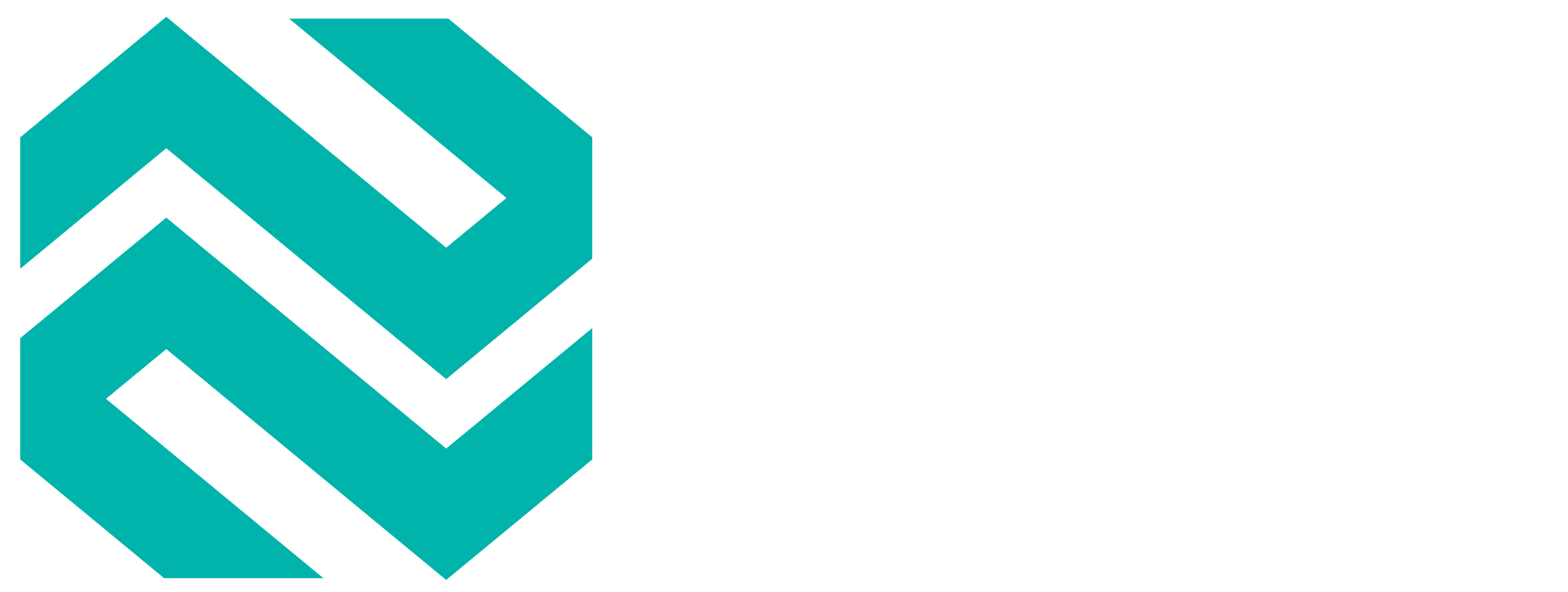 PyDart Logo